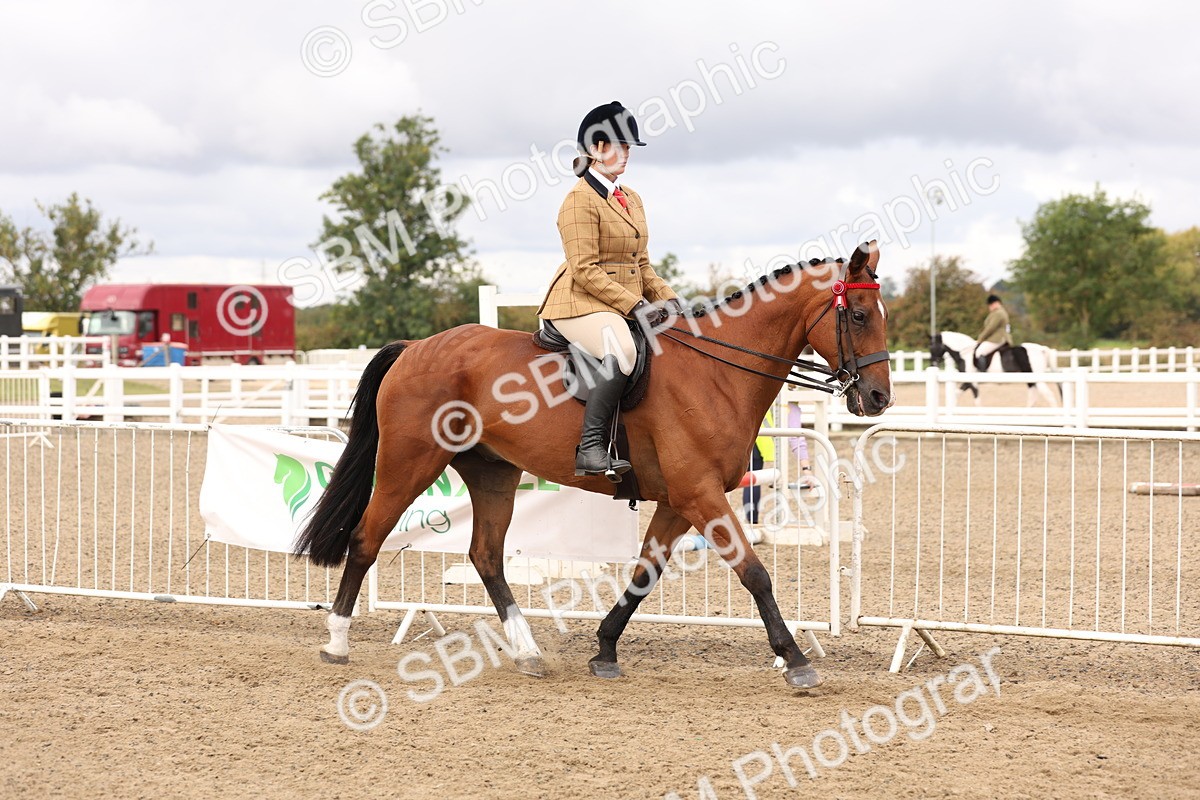 SBM_02809 - Class 53 - Ridden Competition Horse/Pony