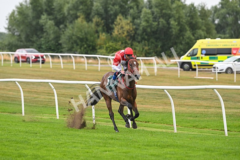 270825-Race 2-Rogue Attraction-4841 - Race 2