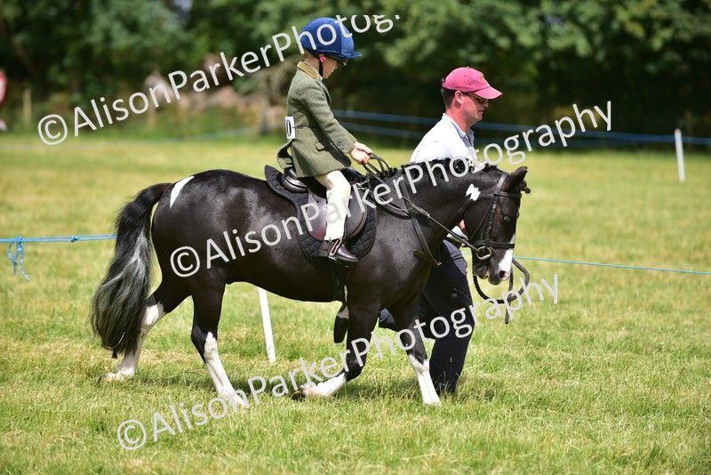 20260614-1372 - Class 11b - Lead Rein Pony (Plaited)