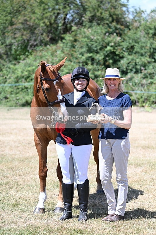 WJ7_2511 - Most Handsome Gelding Champs