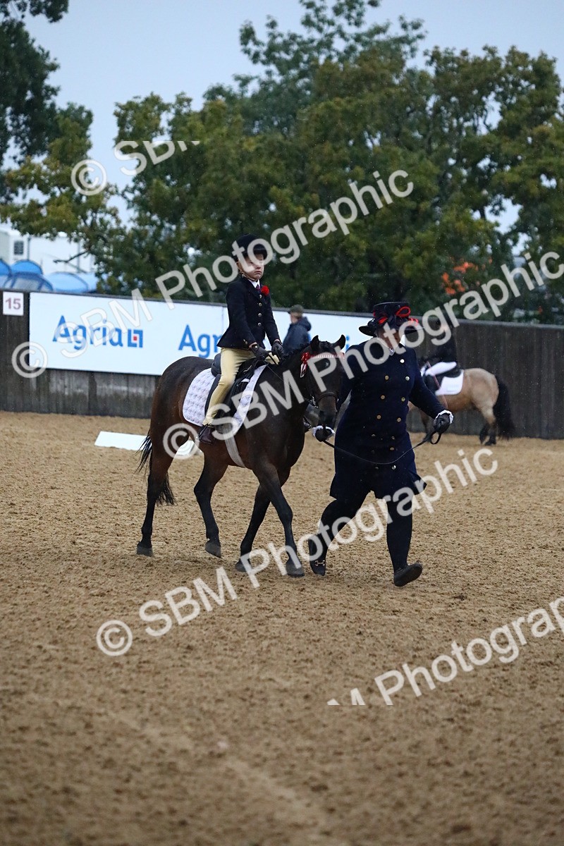 SBM_34689 - D26 - Starters Lead Rein