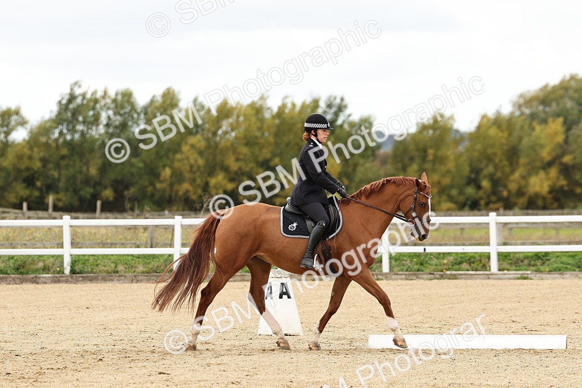 SBM_004559 - Class 69 - Novice 2