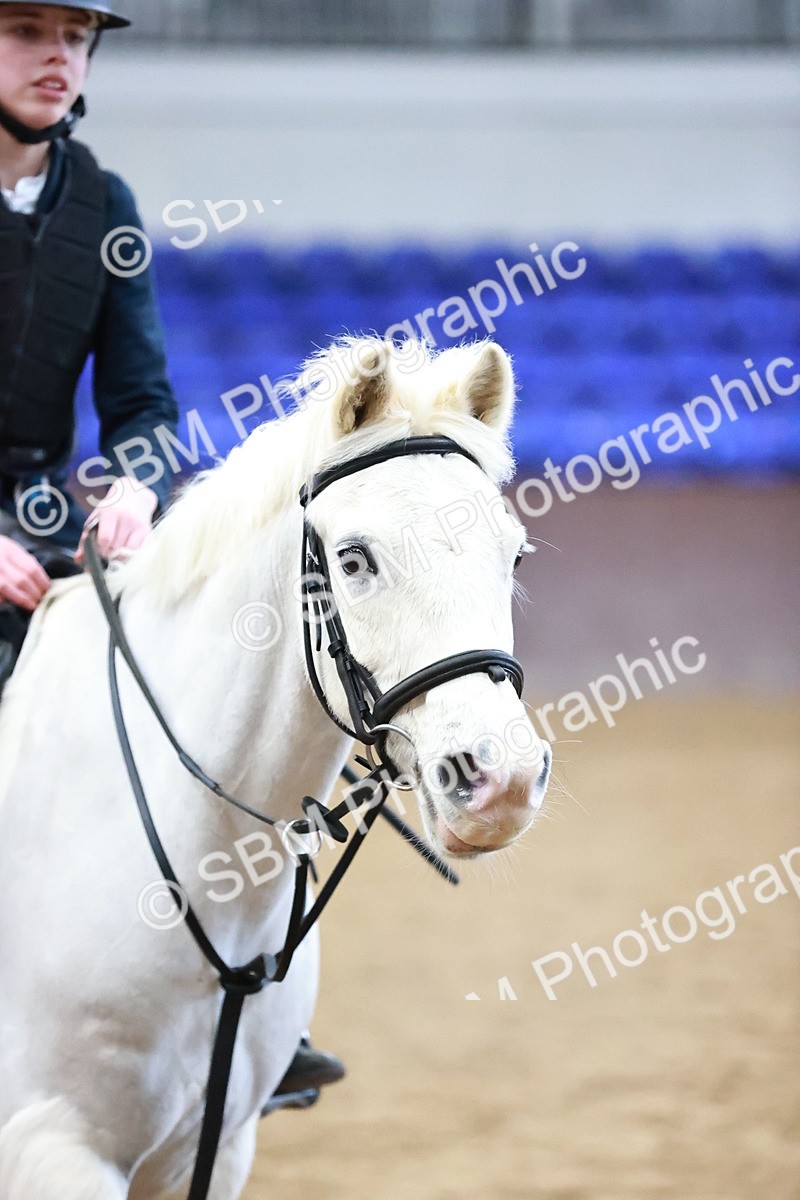 SBM_000880 - Class 2 - 80cm