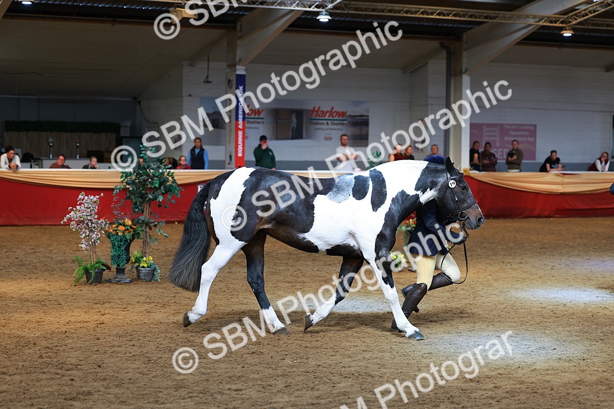 SBM_18501 - Class 903 - Sup Final - IH Pre Vet
