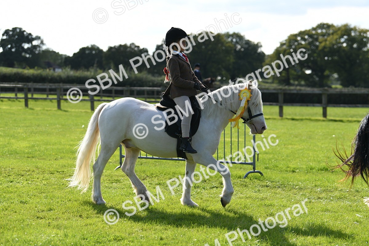 SBM_50536 - S21 - Novice & Newcomers 1st Ridden Pony