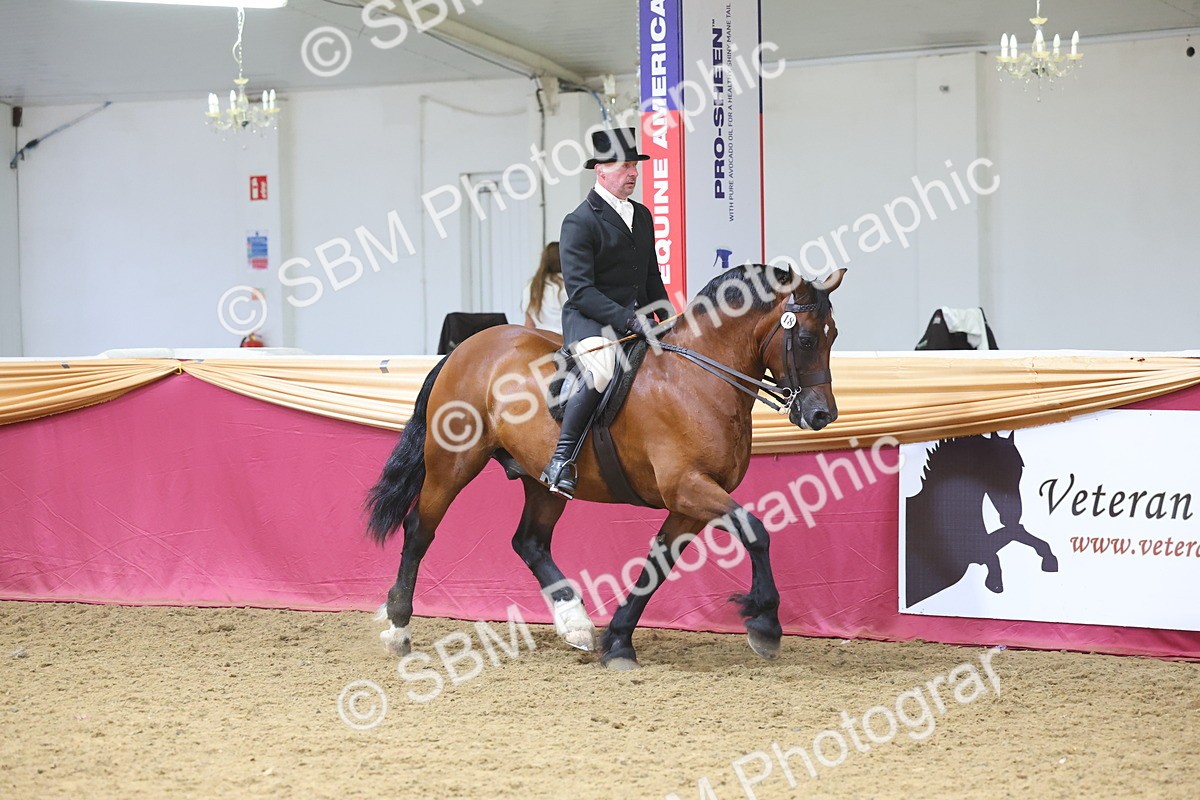 SBM_24917 - Supreme Final - Ridden Champion