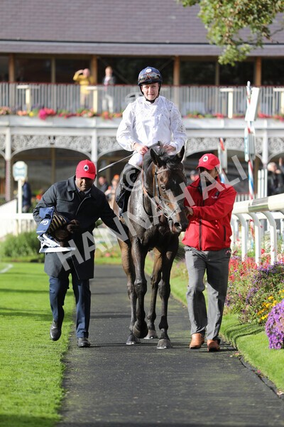 yr07102022r4-55 - Race 4 3.50pm William Hill Best Odds Guaranteed Stakes