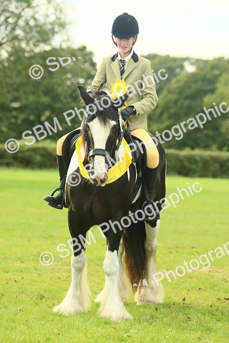 SBM_75103 - Ridden Pony Supreme Championship