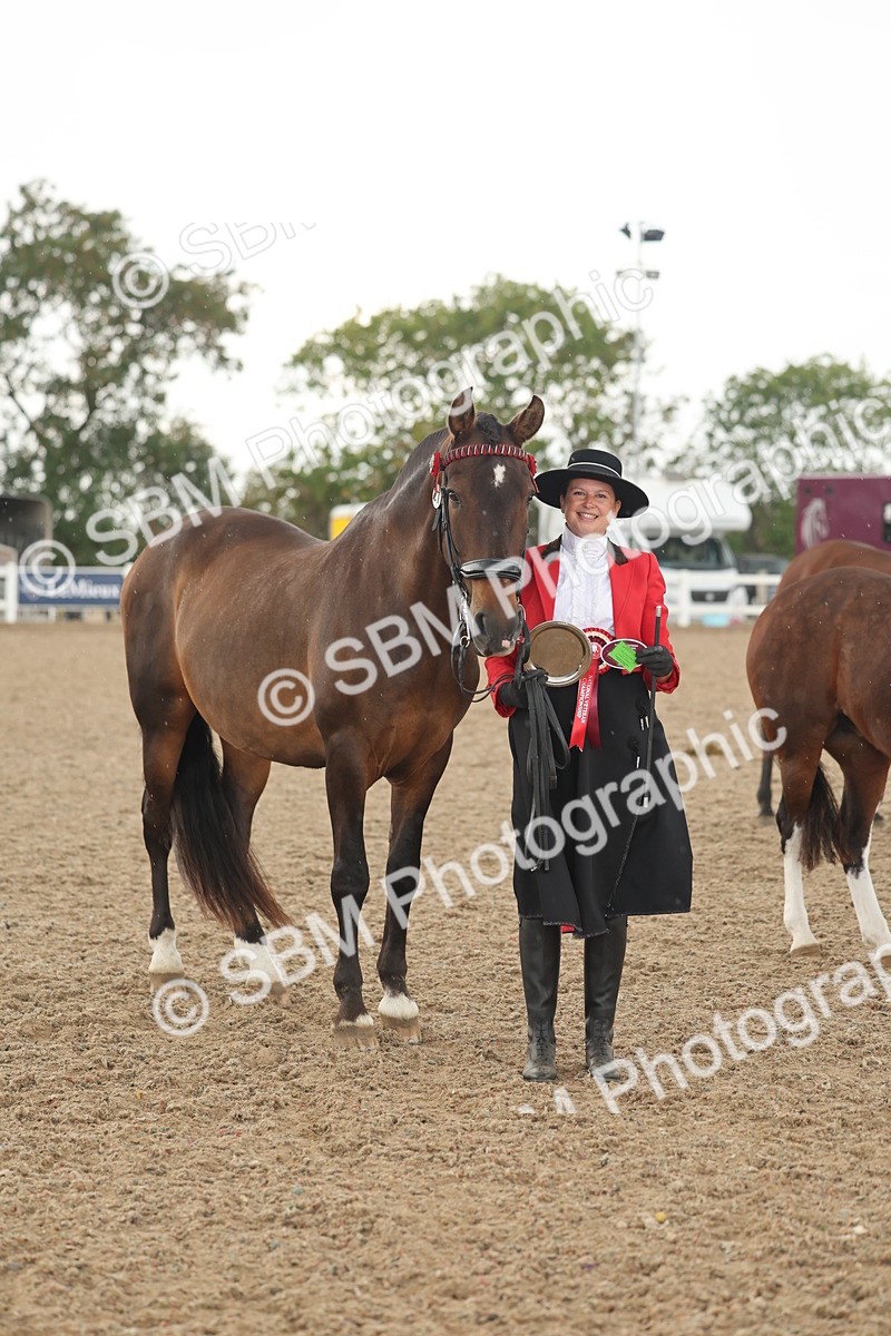 SBM_07702 - Class 26 - IH Foreign Breeds - Part Bred