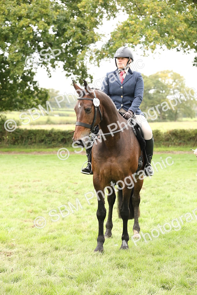 SBM_63039 - S64 - Foreign Breeds Ridden