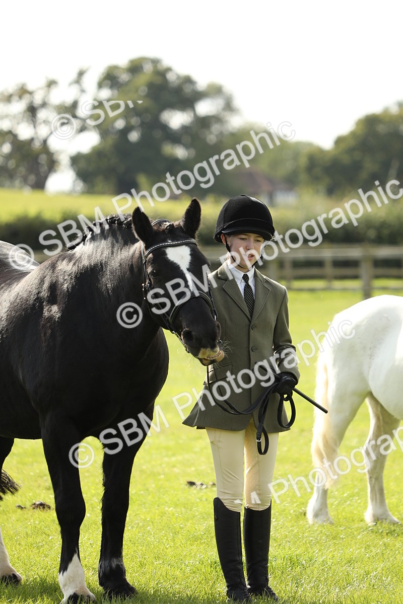 SBM_68574 - S40 - Junior Handler 9-12 Years