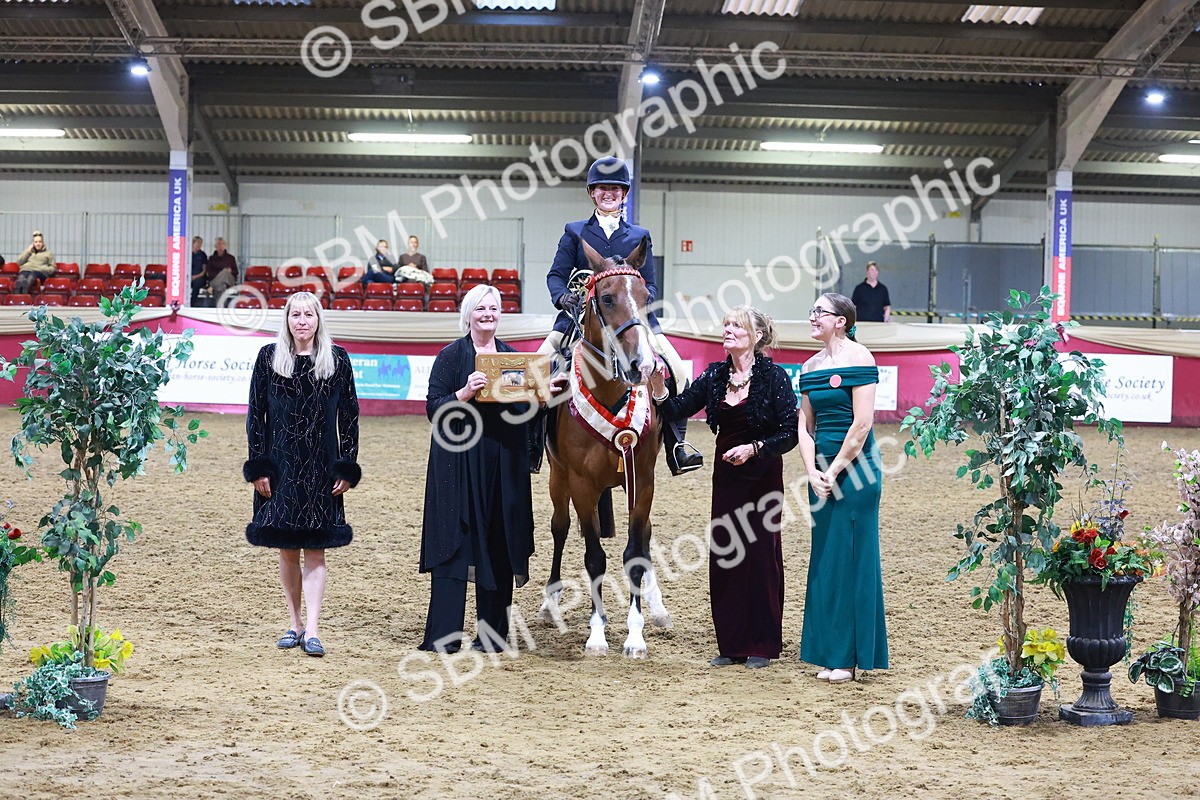 SBM_14853 - Class K - Ridden Competition - Riding Club Champ