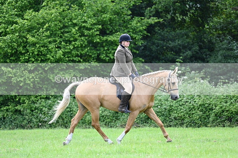 WJ7_2439 - Class 12A Coloured Class