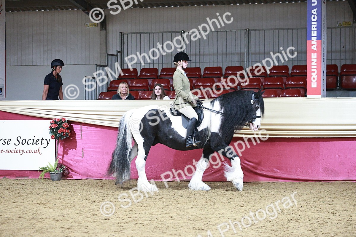 SBM_08723 - Class 12R - Regional Ridden Pre-Vet