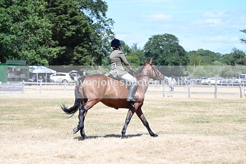 WJ7_3100 - Class 7 Riding Club Show Horse