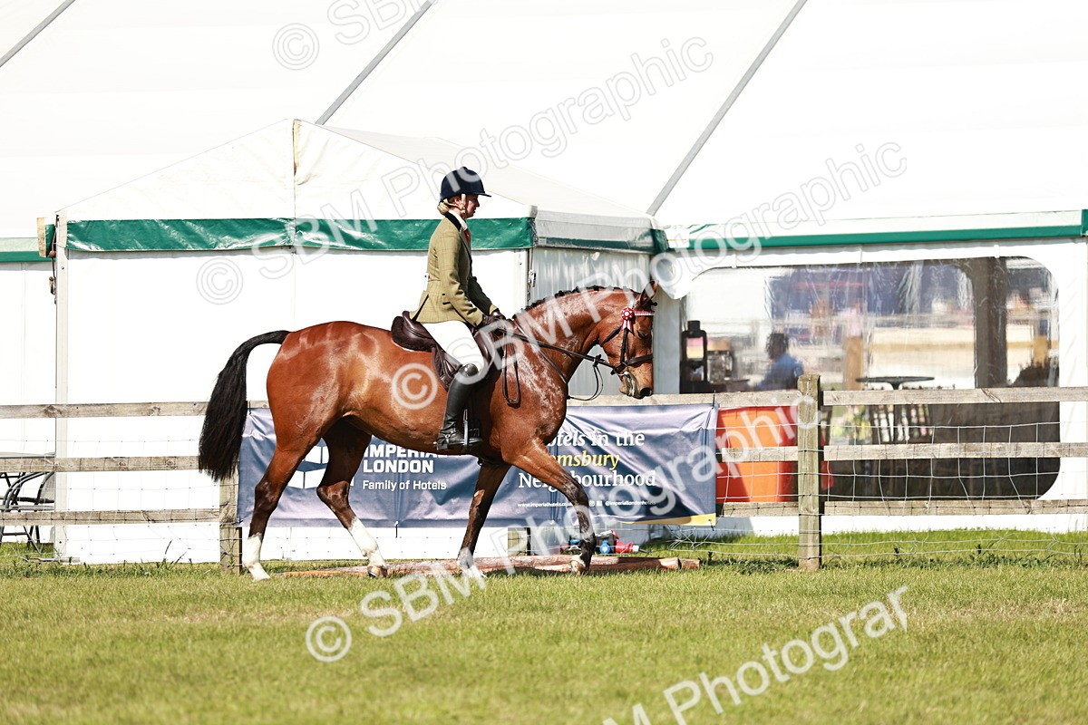 SBM_18867 - Class 114 - RIHS & SEIB Open Working Show Horse