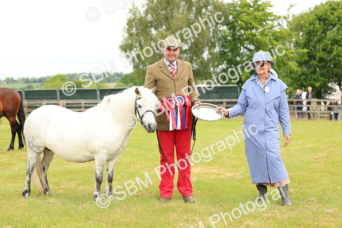 SBM_03588 - Class 58-67 - M&M Non Welsh Pony In hand
