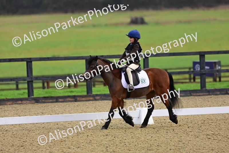 20260125-0504 - Class 9b - Walk Trot Unassisted