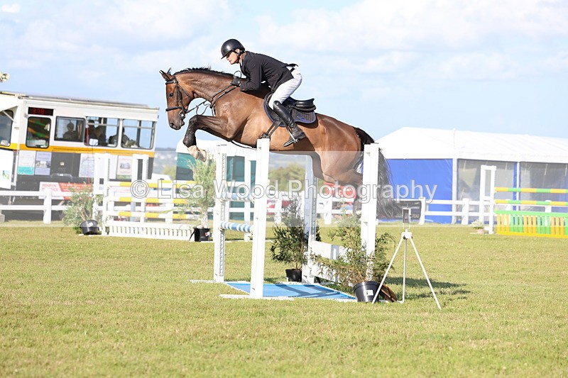 3E7A4318 - Class C: Showjumping Senior Foxhunter