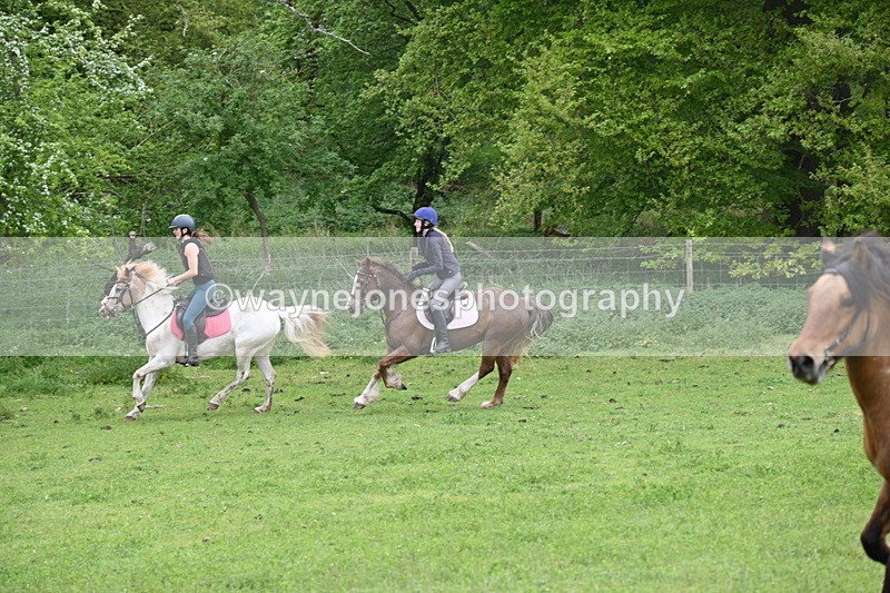 WJ6_3351 - A camera
