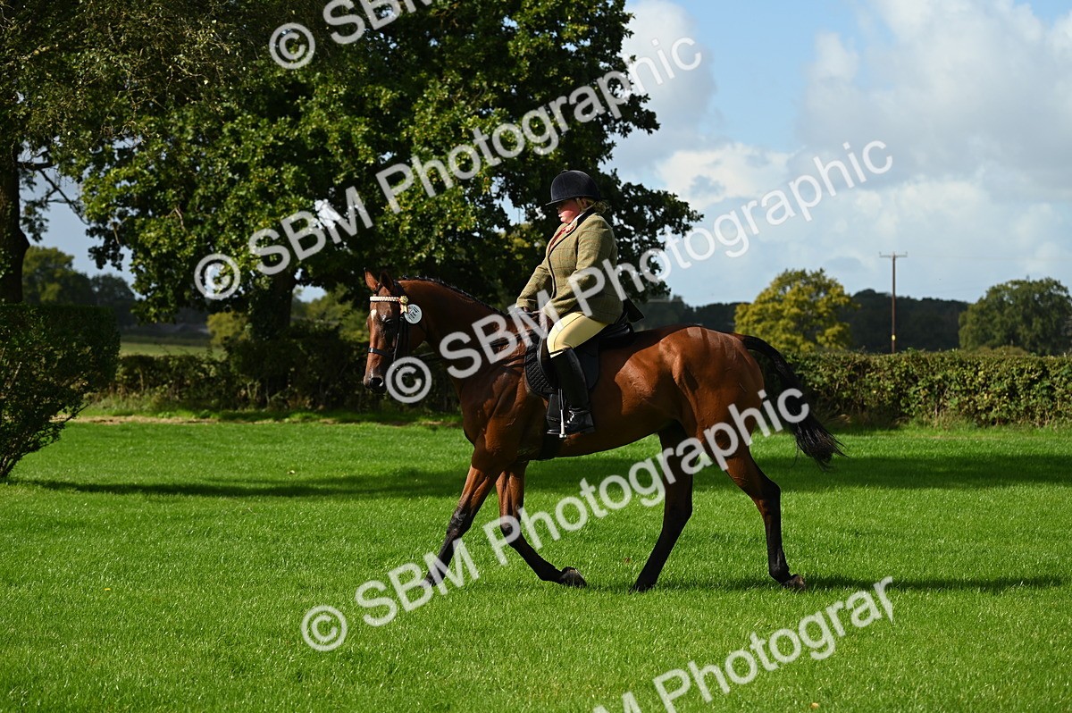 SBM_01668 - S2 - TSR Ridden Horse Showing