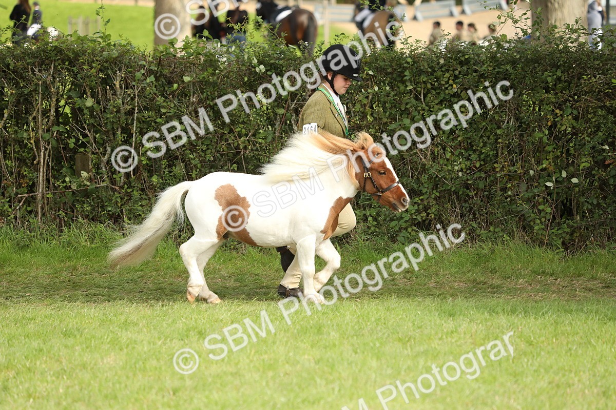 SBM_68524 - S40 - Junior Handler 9-12 Years