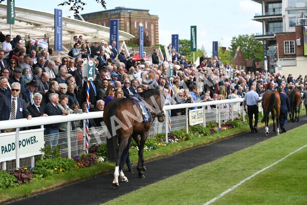yr12052022r4-12 - Race 4 3.35pm Al Basti Equiworld Dubai Dante Stakes