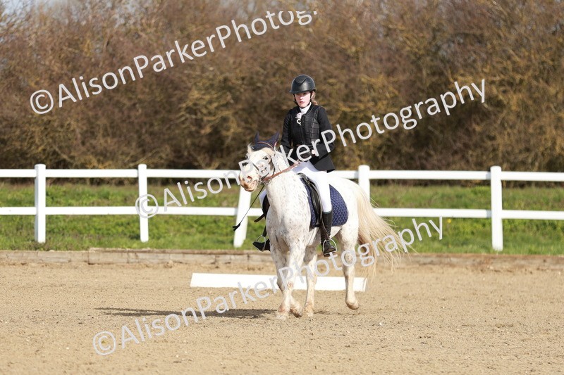 20260314-1115 - DR2 - Intro 3