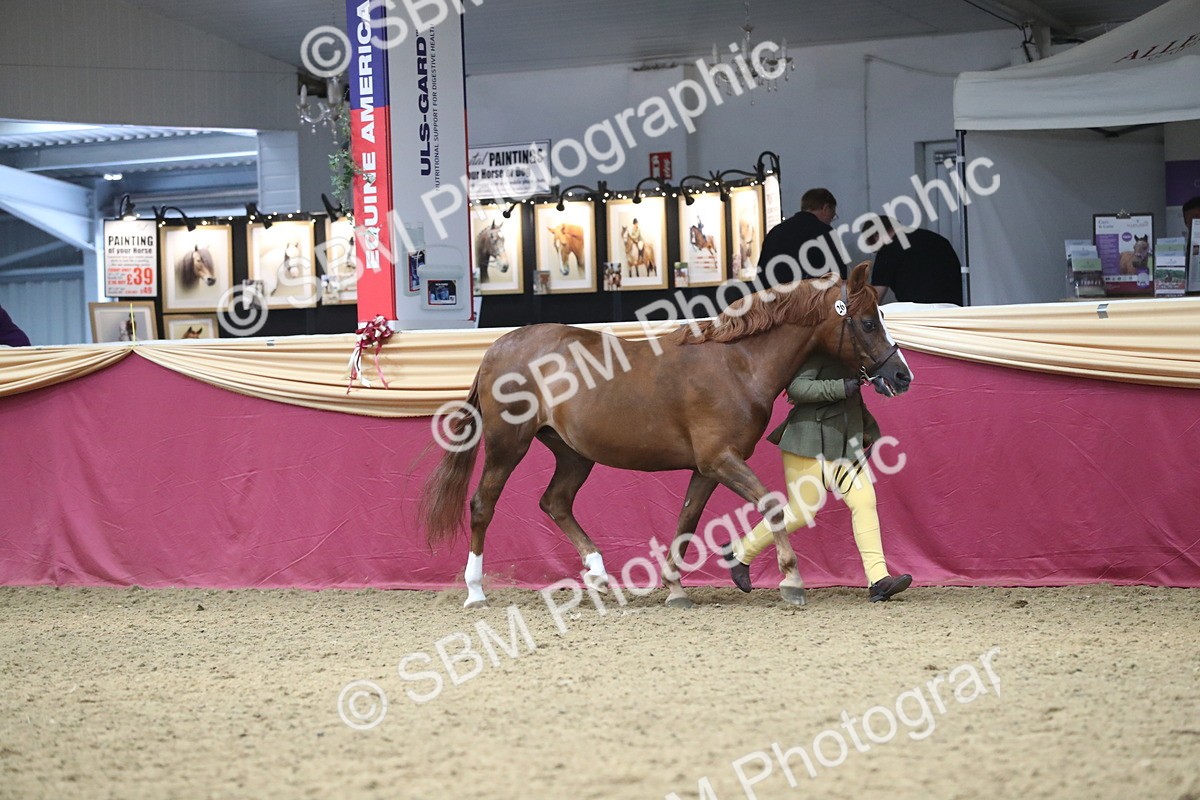 SBM_15271 - Class 501 M&M IH Supreme Final