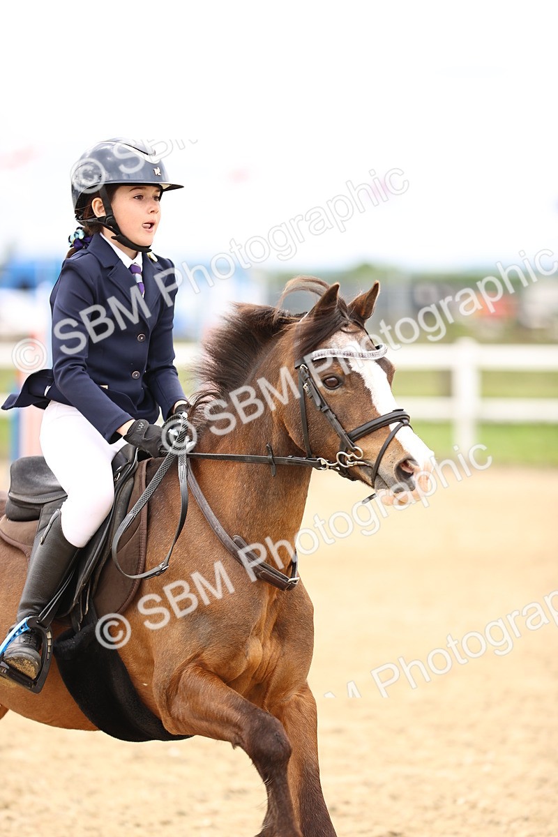SBM_000129 - 50cm