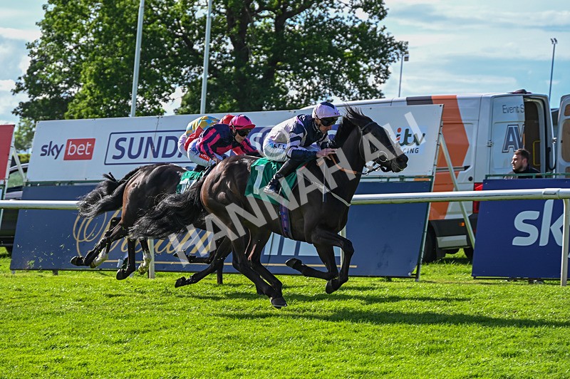 310526-Race 4-Brielle-8868 - Race 4 17.15pm Sky Bet Extra Places Handicap