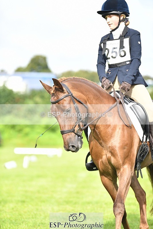 230826-093928-15182 - Sections C & D 9 to 10am