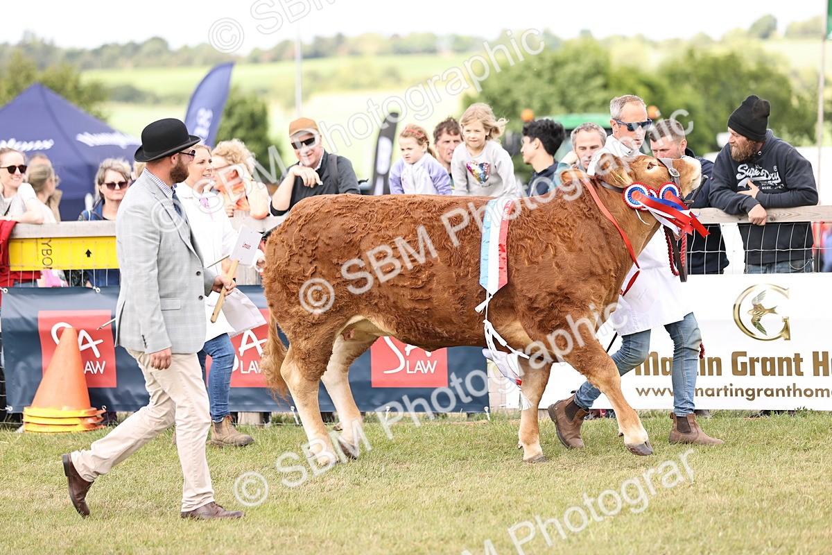 SBM_16888 - Grand Parade