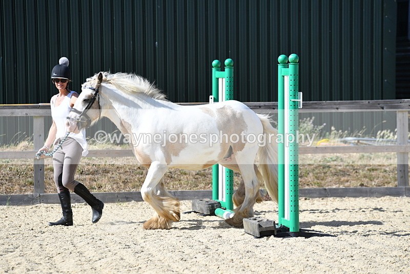 WJ5_5440 - Poles on the Floor