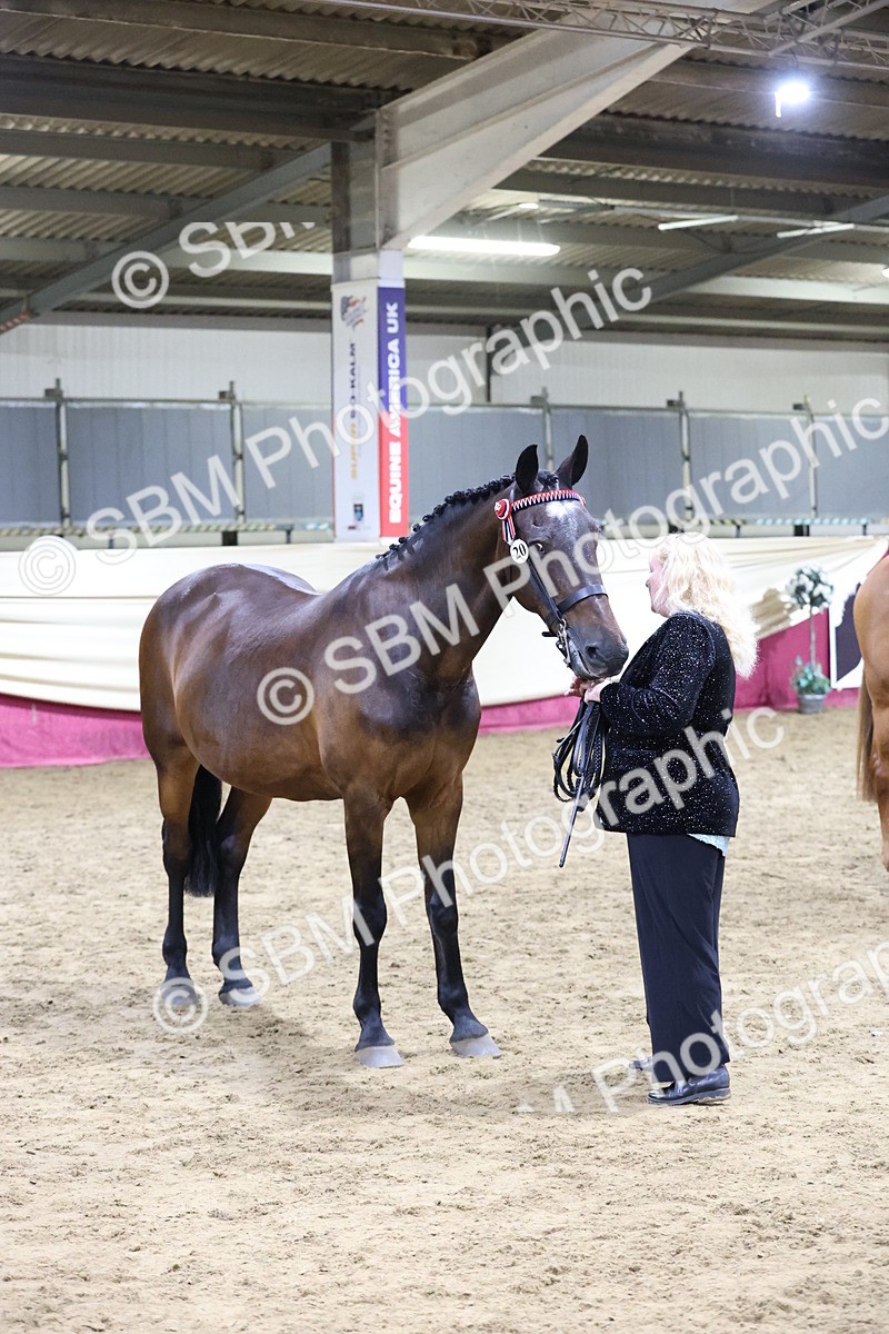 SBM_20664 - Class I - Ridden Pony Champ