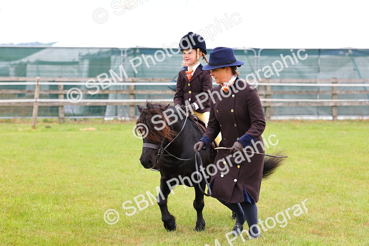 SBM_08149 - Class 42-43 - LIHS BSPS Heritage Working Sports Pony