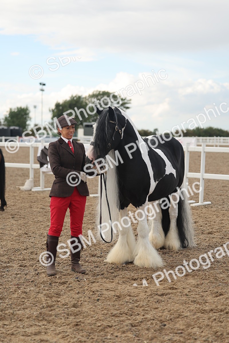 SBM_08563 - Class 29 - IH Veteran Pony