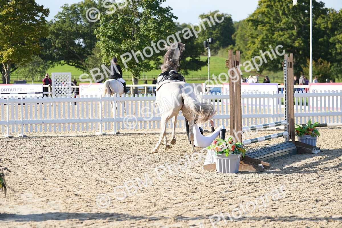 SBM_14346 - J57 - Clear Round 60cm