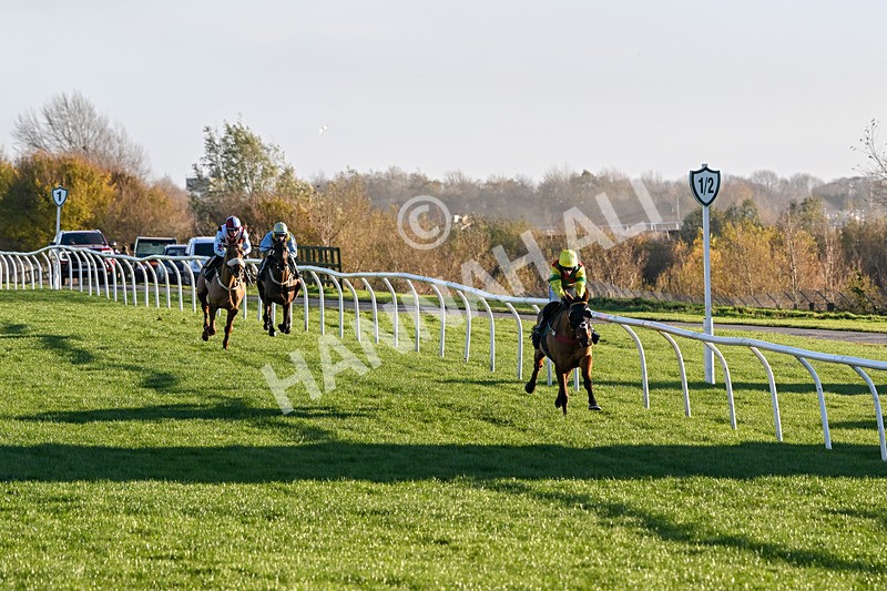 221124-Race 4-Duke Of Luckley-5133 - Race 4