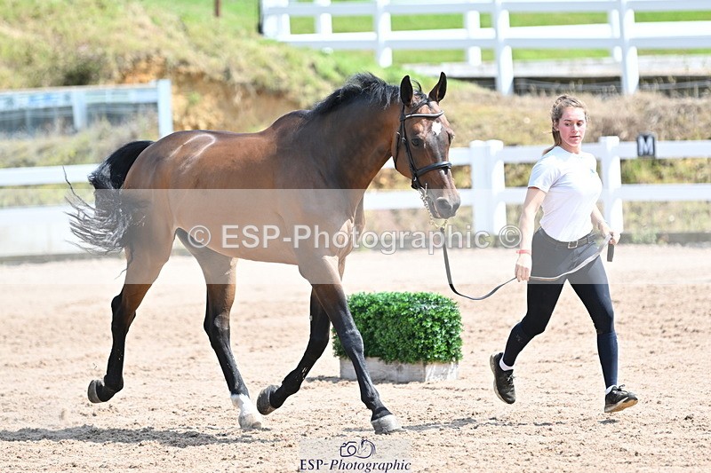 240717A-150053-02439 - Trot Up 3pm to 4pm