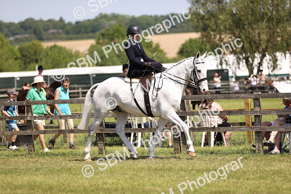 SBM_15026 - Class 79-80 - LIHS BSHA Rising Star Ridden Hunter