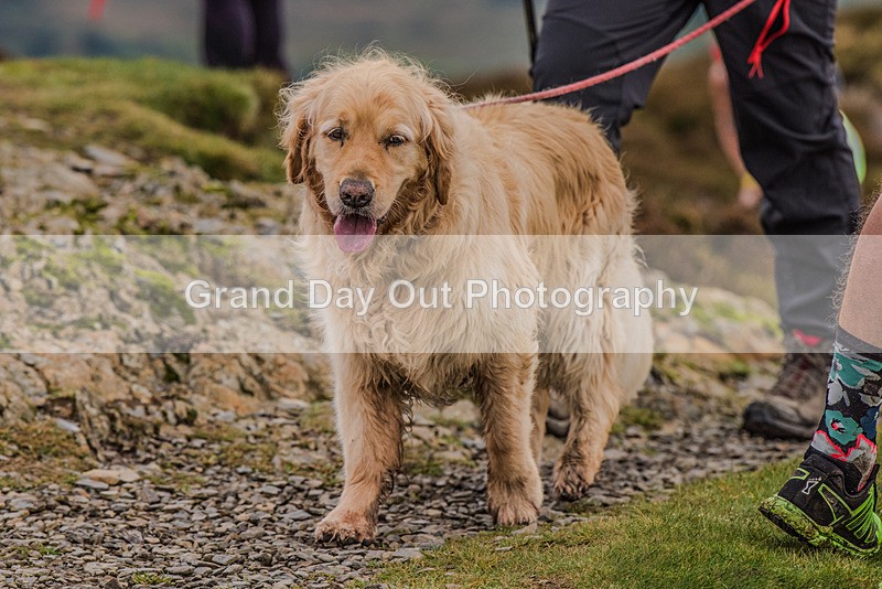 British Fell Relay-653 - British Fell & Hill Relay Championship Braithwaite Keswick Saturday 21st October 2023