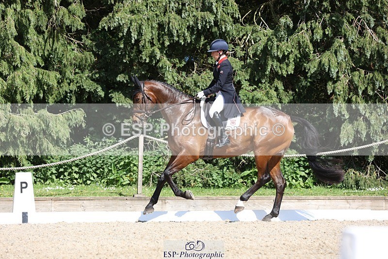 230526-160653-07754 - 168-PARKFIELD_ARTIE_BLOU-Laura_Collett-WEDTrotUp+DR