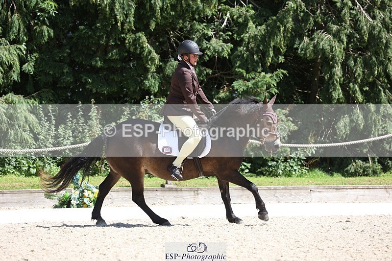 230811-144137-02074 - Cls 1 Prelim Bronze 13.30 to 14.50 break