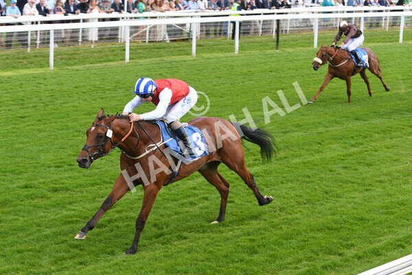 yr10062022r2-24 - Race 2 2.30pm SKF Rous Selling Stakes