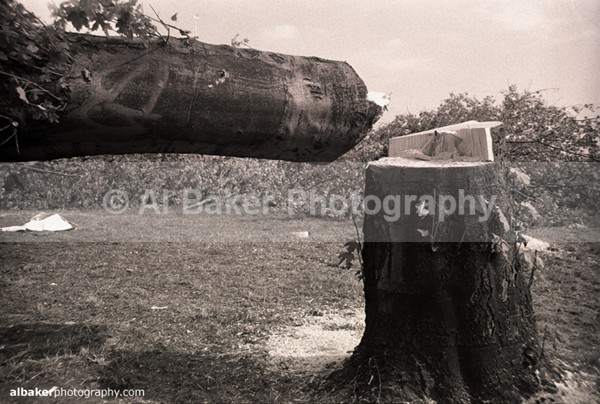 31 - Hulme Gallery (c)