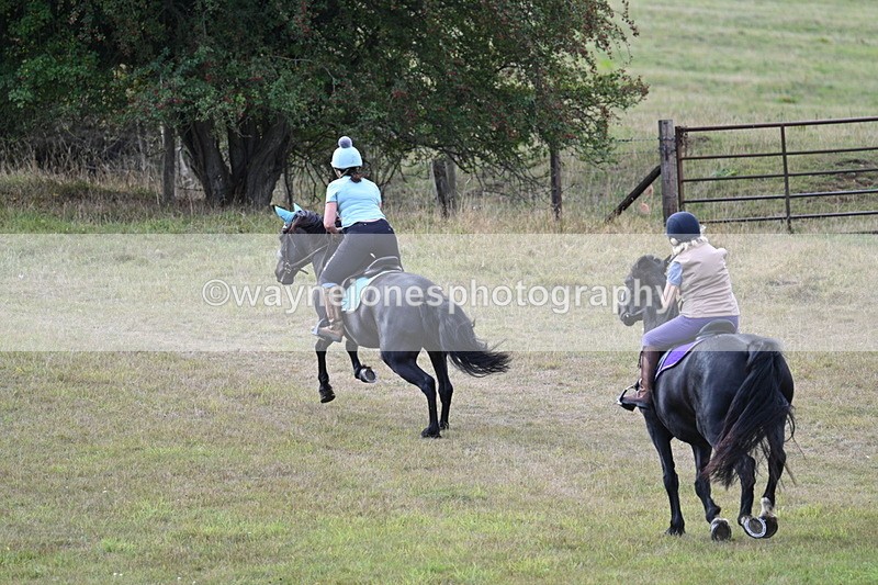 WJ7_4245 - Time 10:54 to 11:16