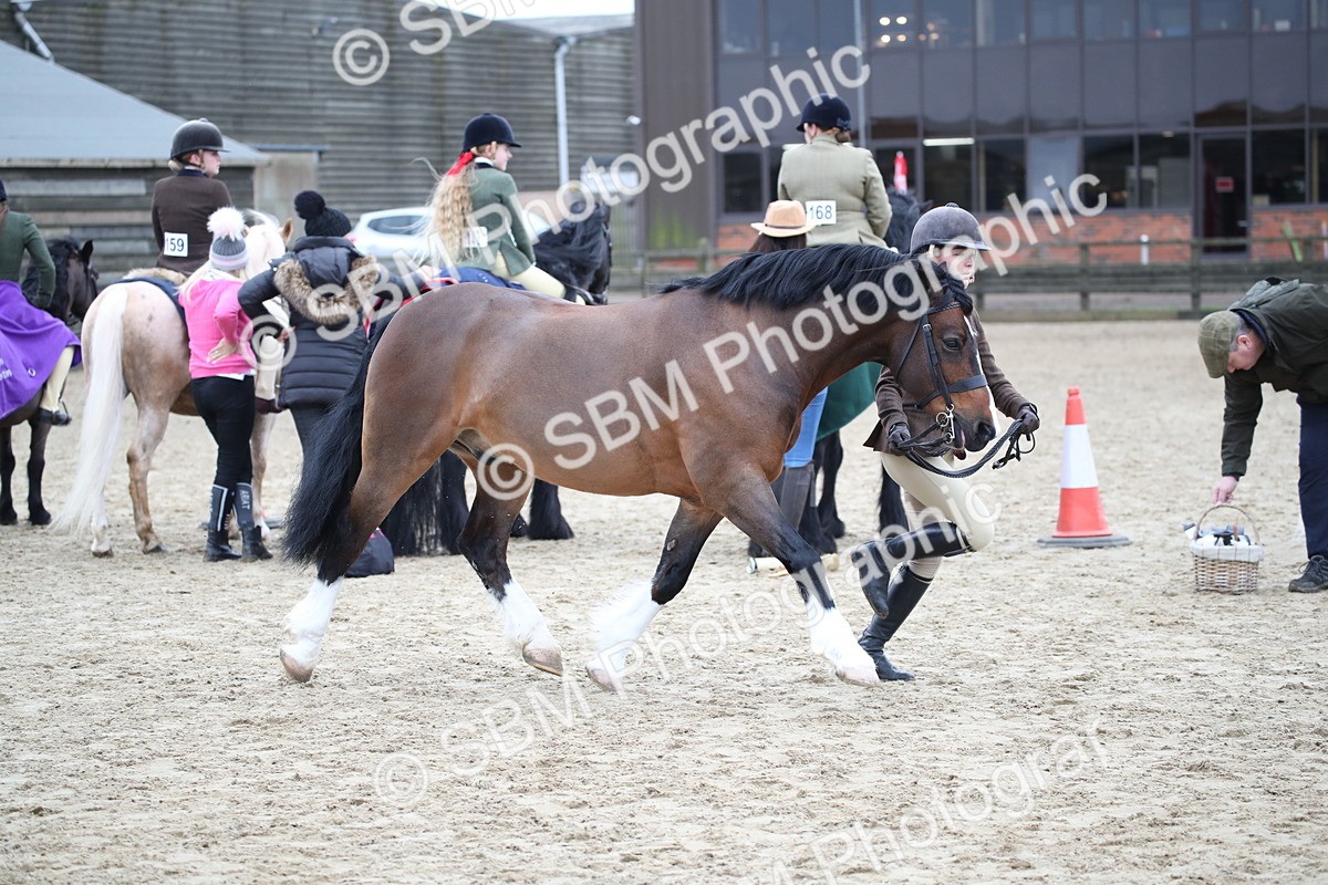 SBM_006397 - Class 10-13 - RIHS Small Large Breeds