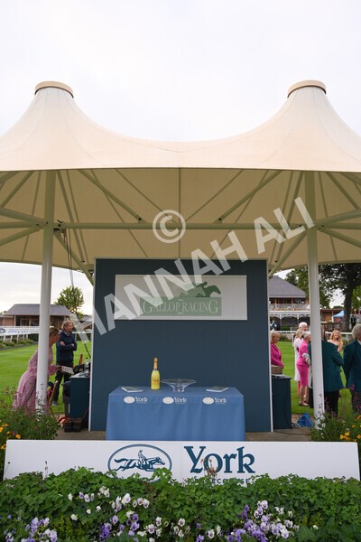 yr23072021r5-45 - Race 5 8.00pm Gallop Racing Stakes