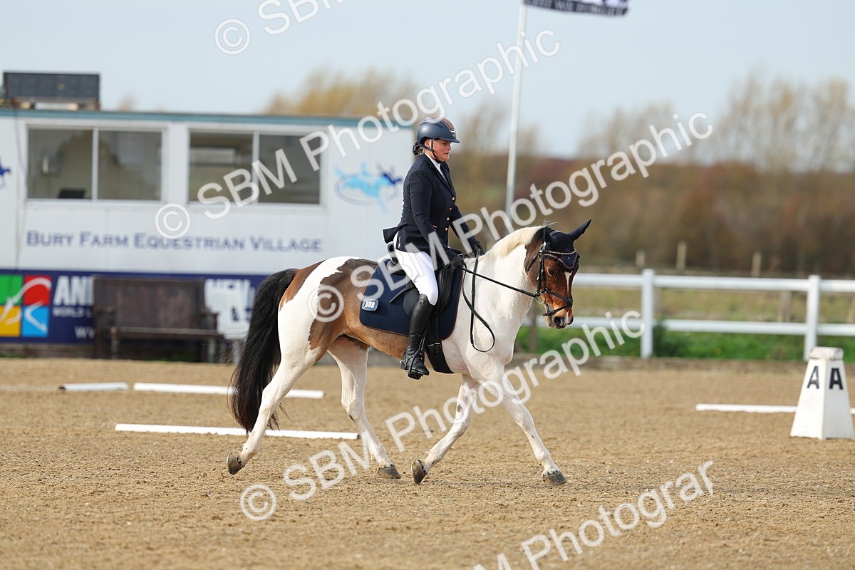 SBM_003639 - Class 6 - Novice 2